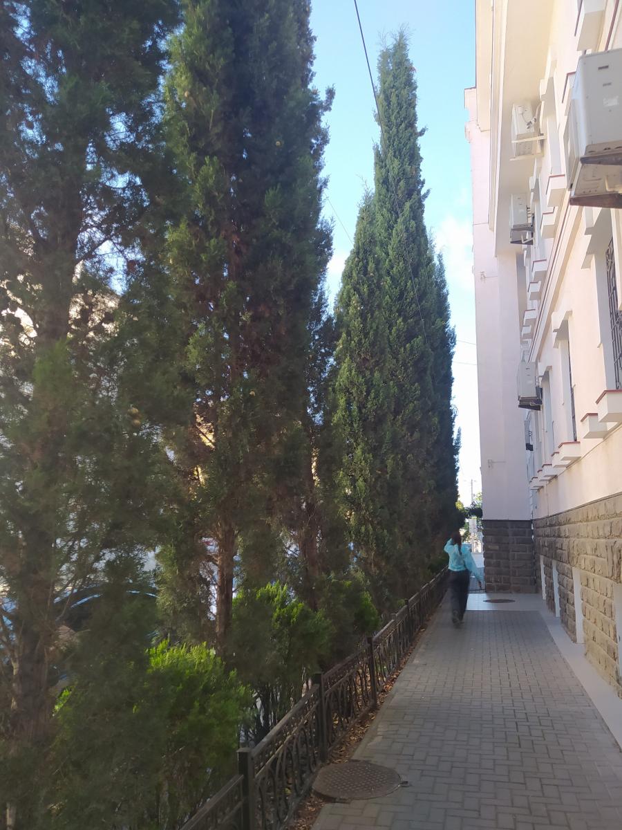 Следующая Click