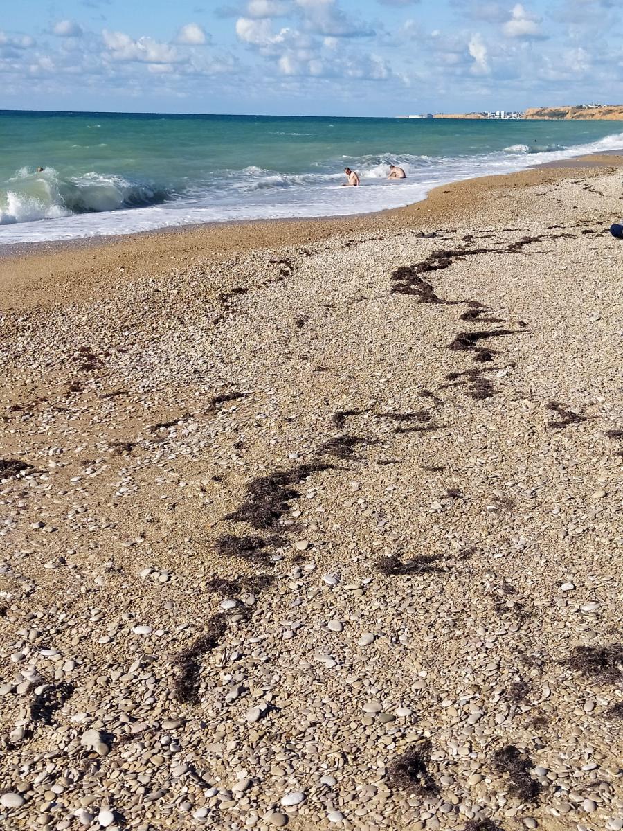 Следующая Click