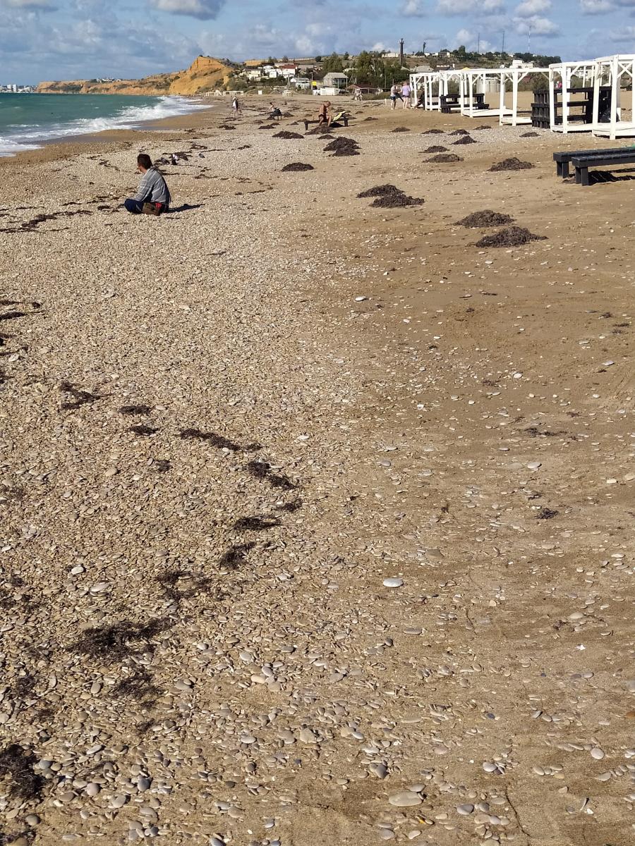 Следующая Click