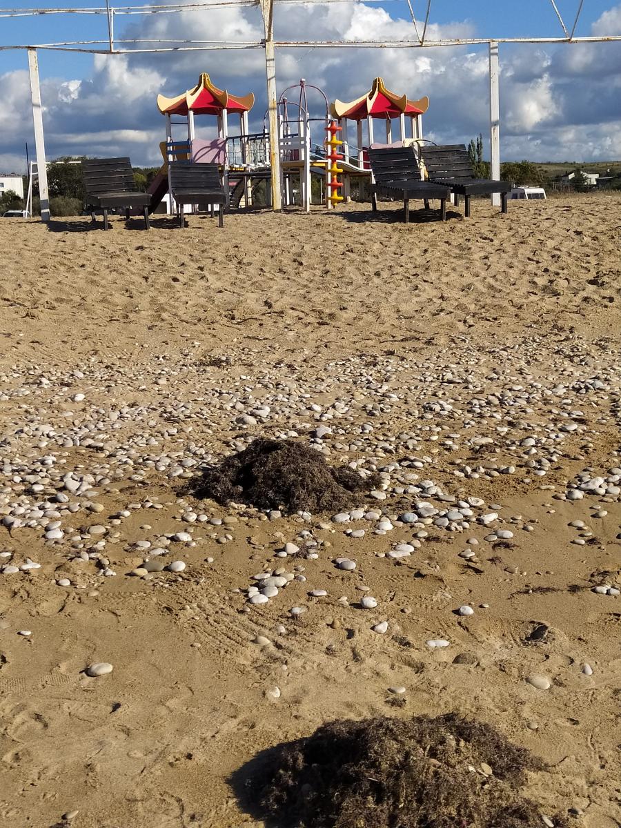 Следующая Click