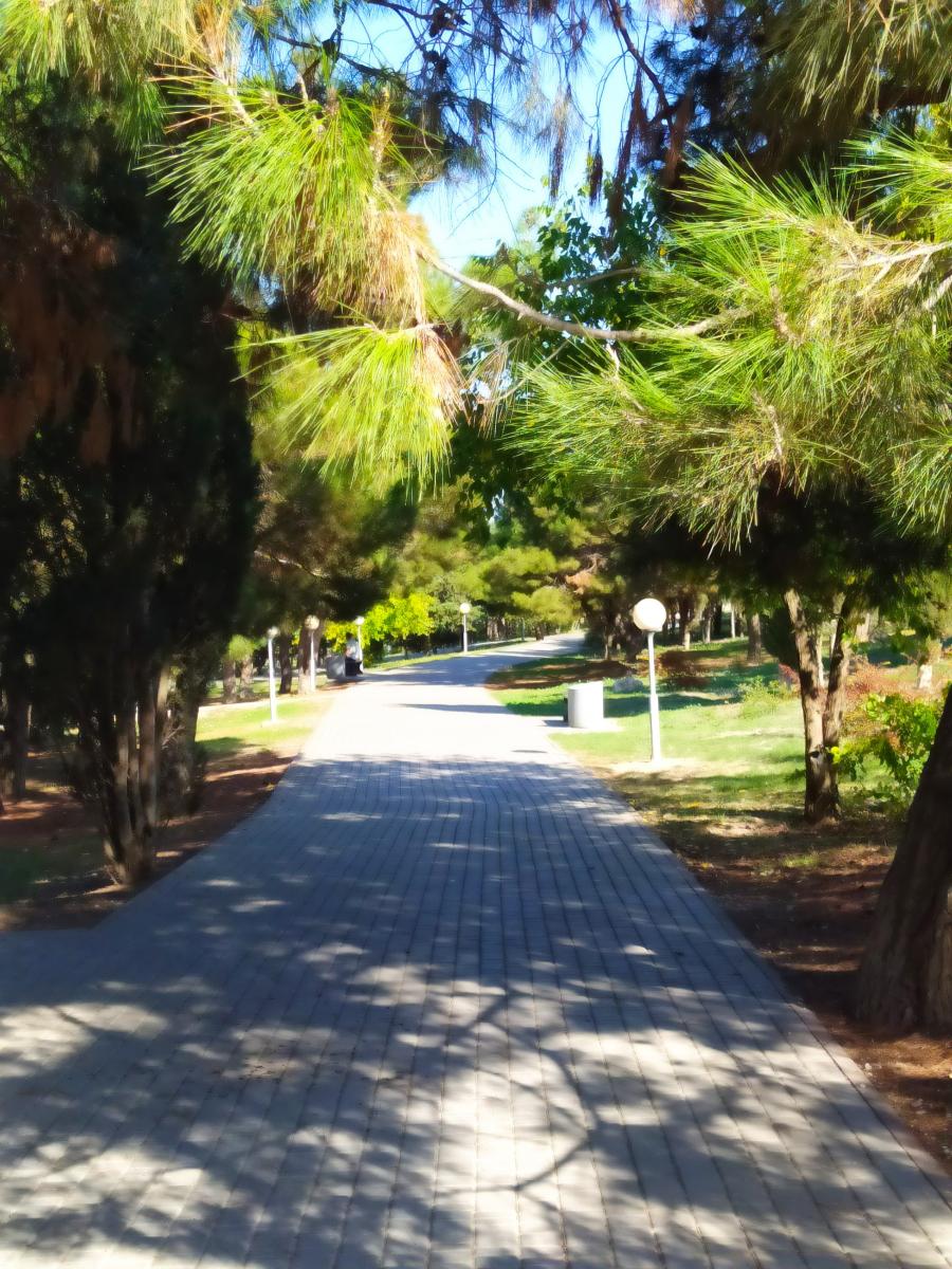 Следующая Click