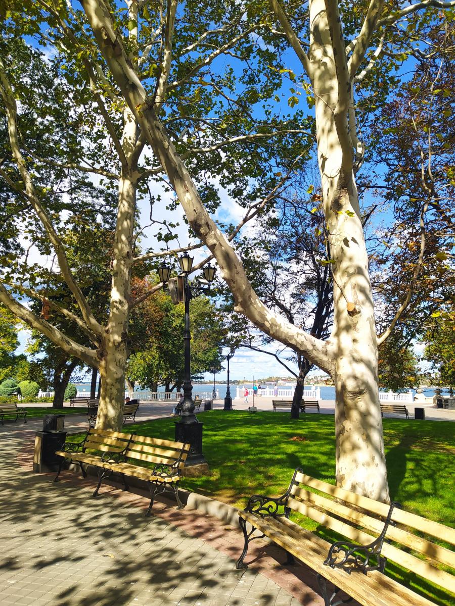 Следующая Click