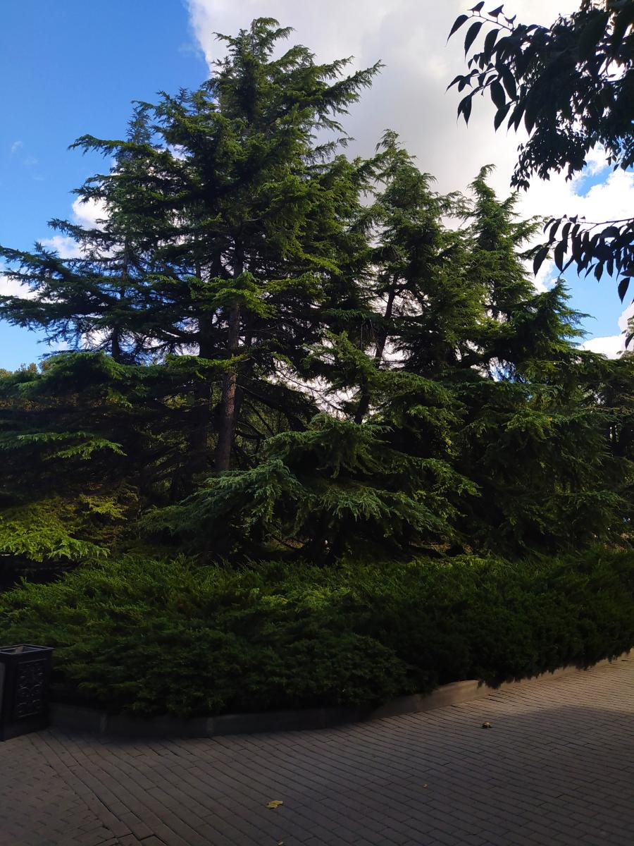 Следующая Click