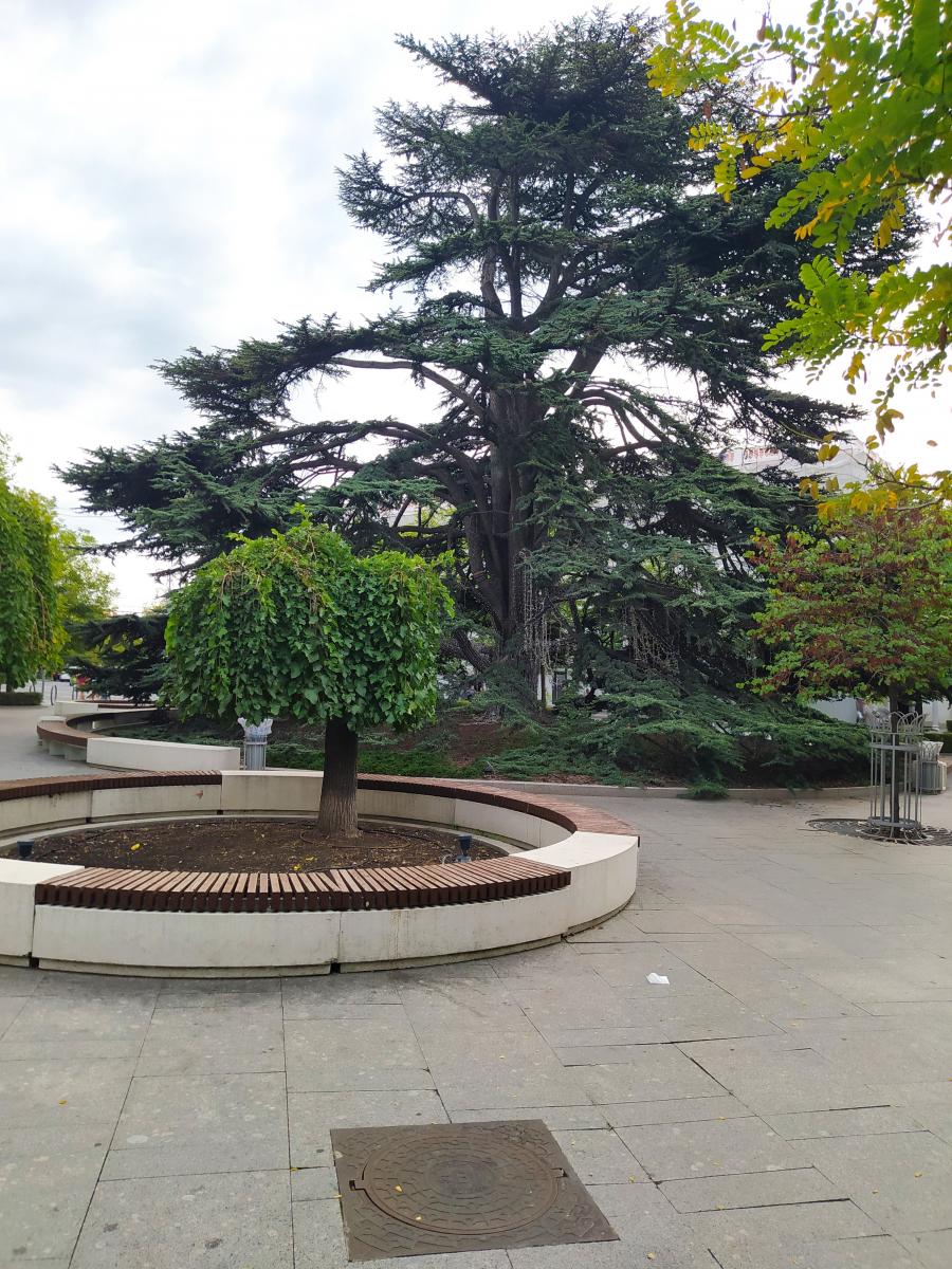 Следующая Click