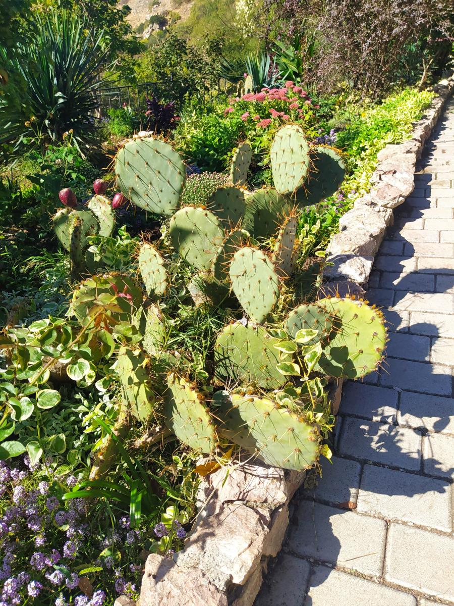 Следующая Click