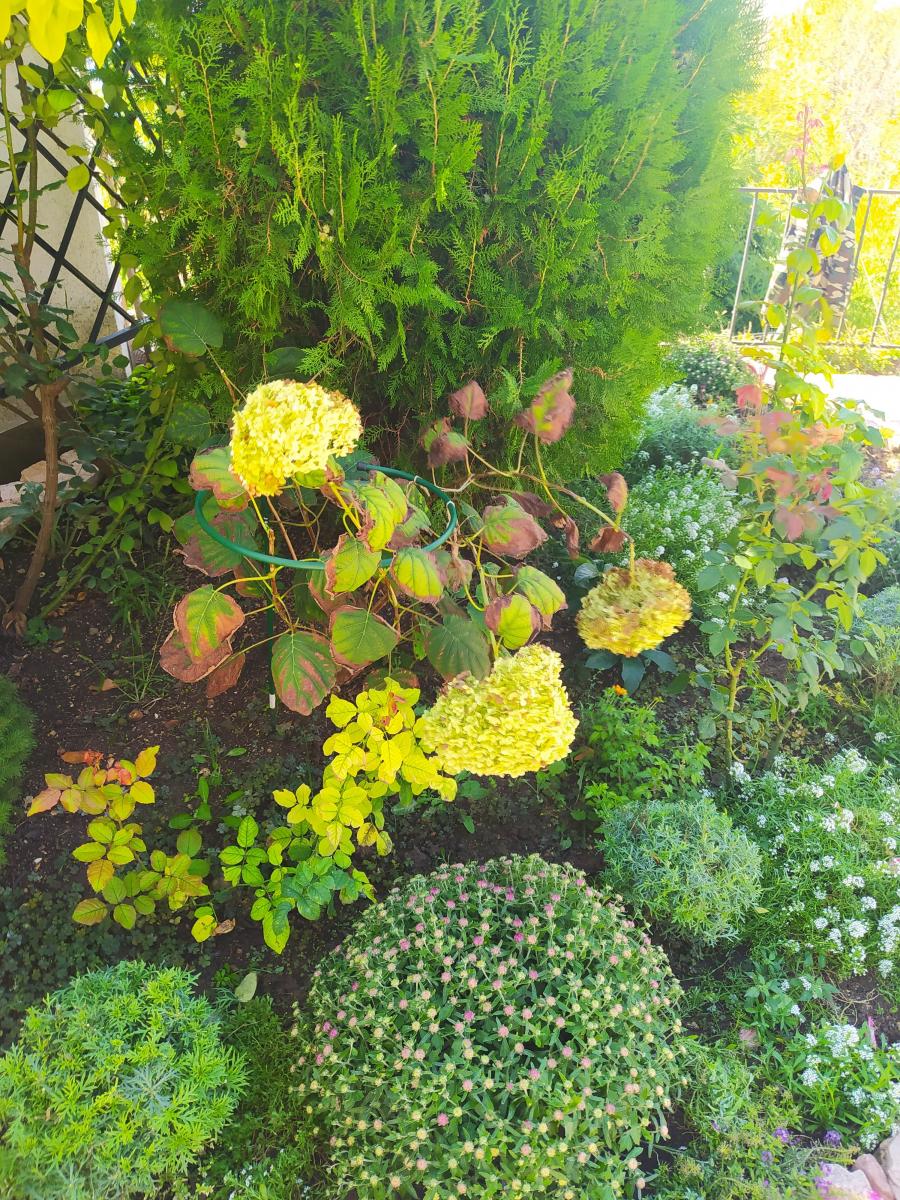 Следующая Click