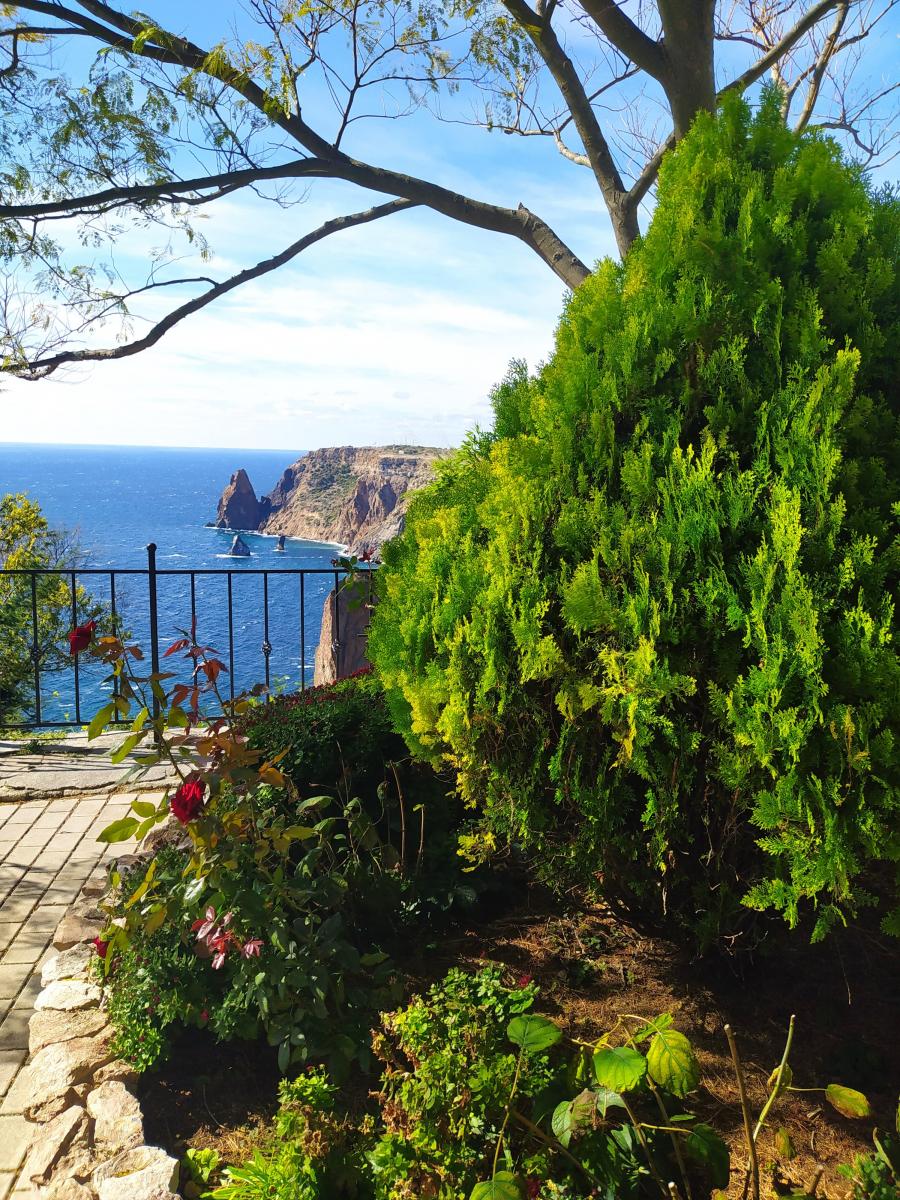 Следующая Click