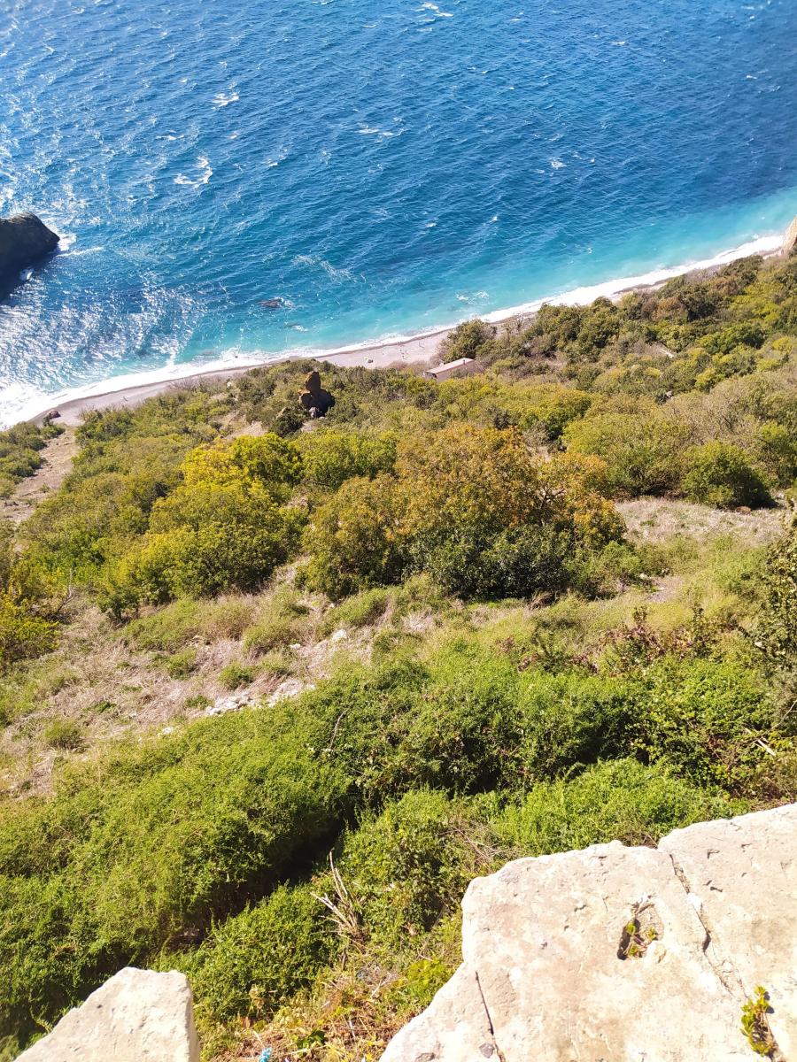 Следующая Click