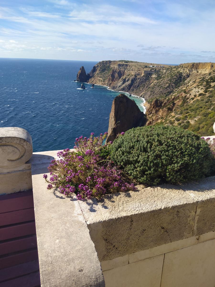 Следующая Click