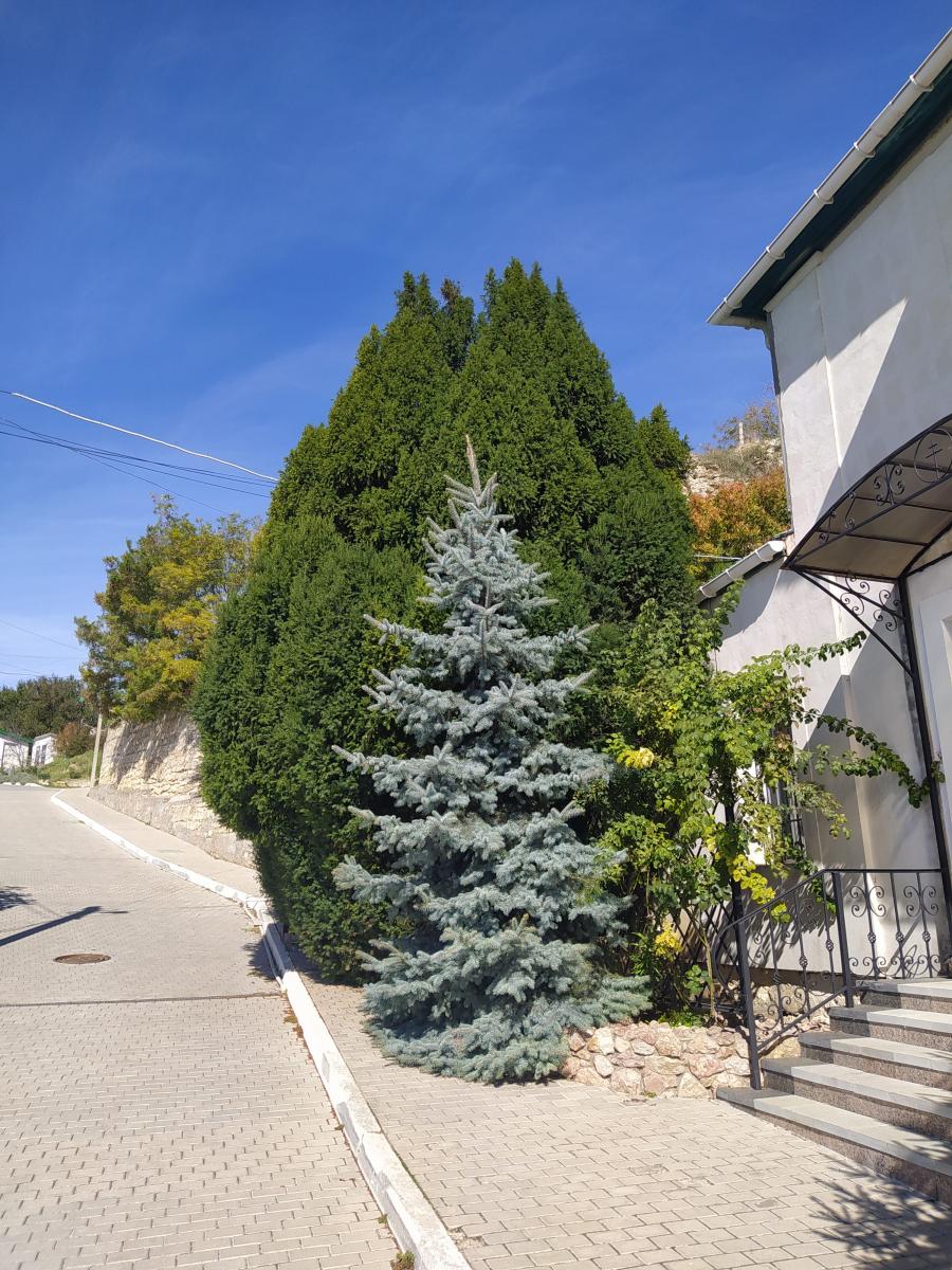 Следующая Click