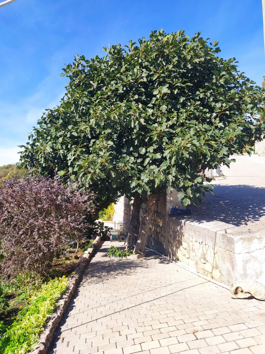 Следующая Click