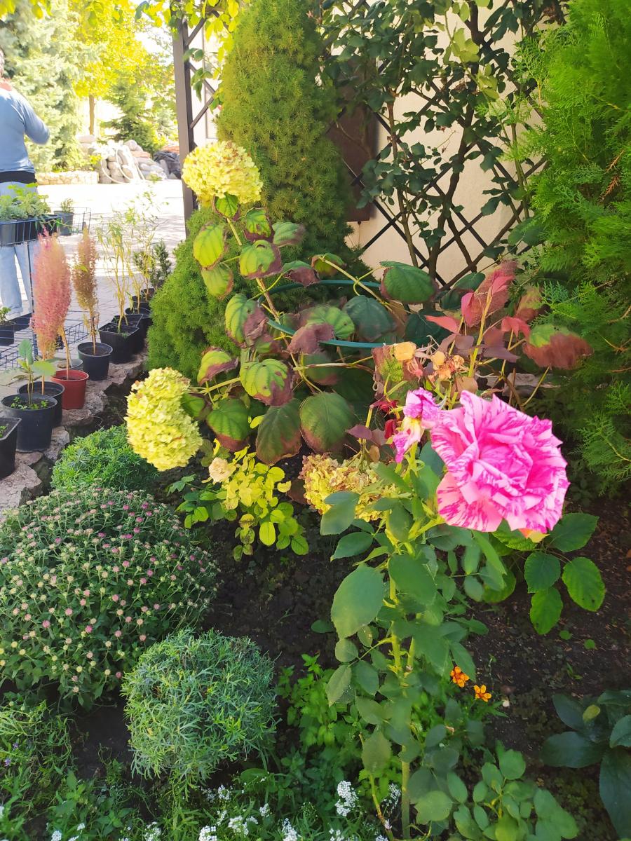 Следующая Click