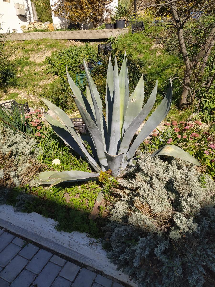 Следующая Click