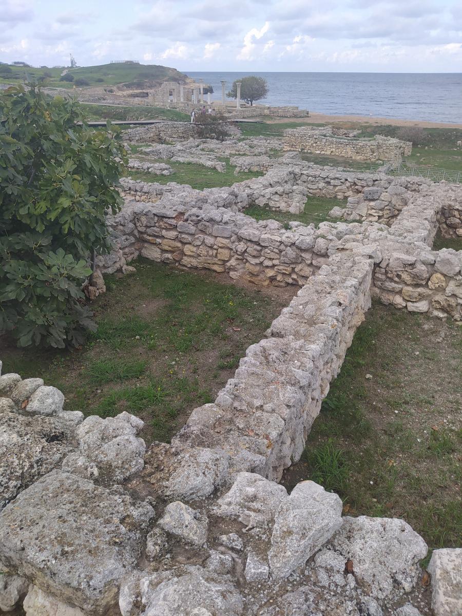 Следующая Click