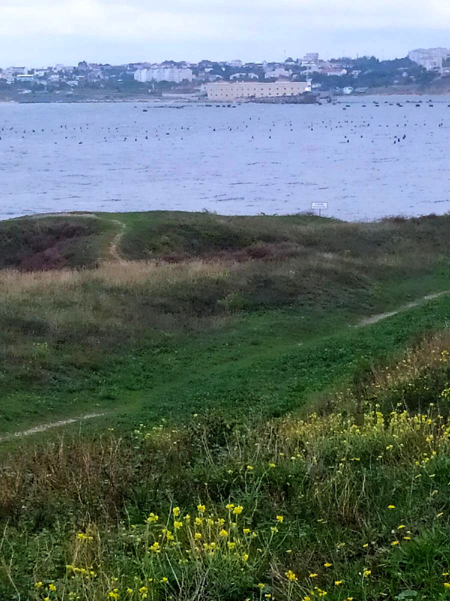 Следующая Click